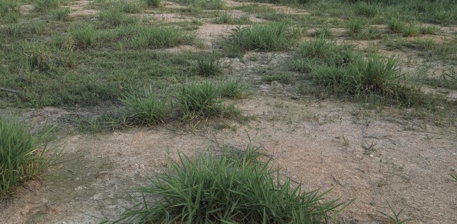 Vende-se lote – termas do gravatal sc - Foto 0