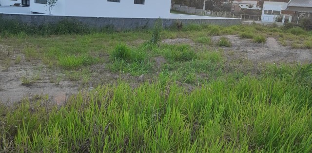 Vende-se lote – termas do gravatal sc - Foto 1