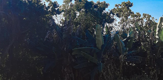 Vende-se lote – termas do gravatal sc - Foto 1