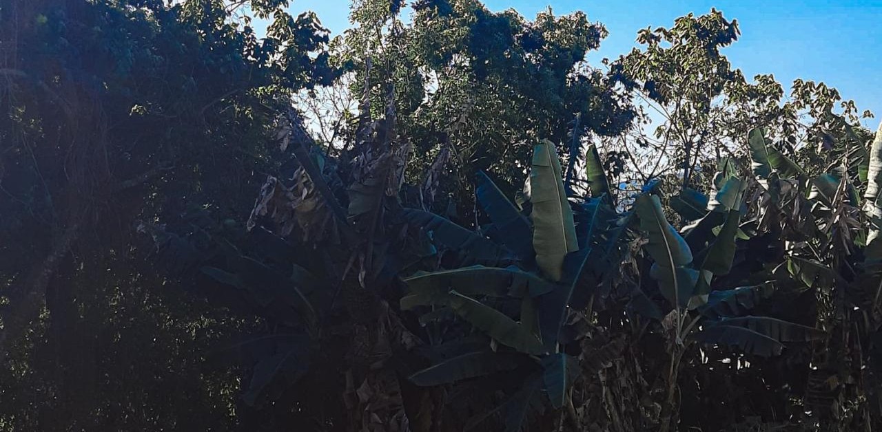 Vende-se lote – termas do gravatal sc